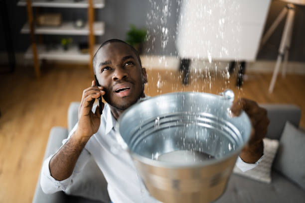 Best Residential water damage restoration  in Trenton, TN