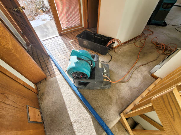 Best Emergency water extraction  in Trenton, TN
