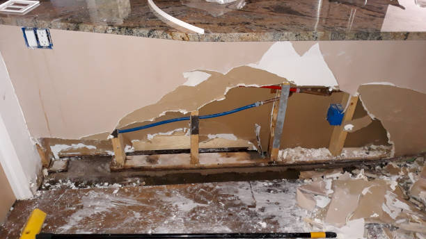 Best Water damage contractors near me  in Trenton, TN