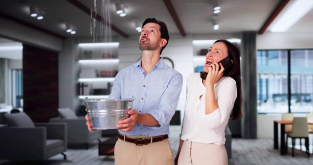 Best Ceiling water damage repair  in Trenton, TN