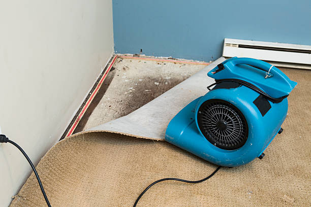 Best Water damage restoration near me  in Trenton, TN